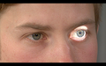 120px-Pupiller-screenshot.png