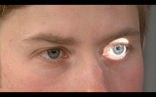 320px-Pupiller-screenshot.png