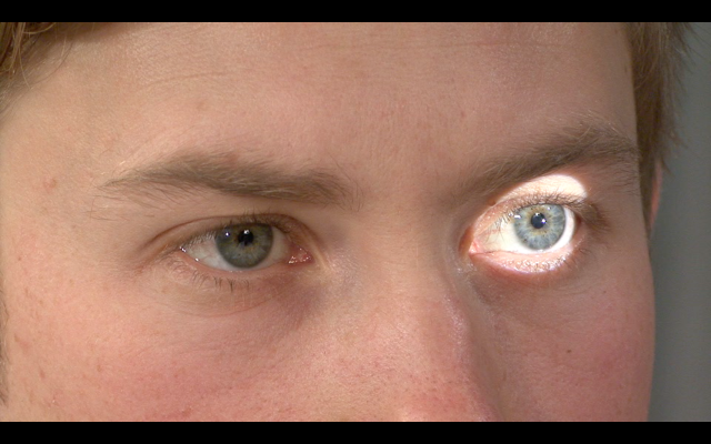 640px-Pupiller-screenshot.png